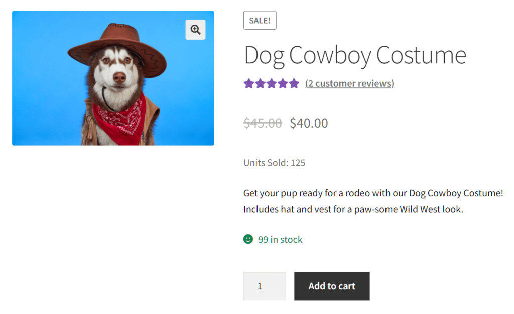Dog Cowboy Costume product listing